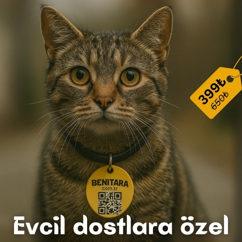 Evcil Dostlara Özel